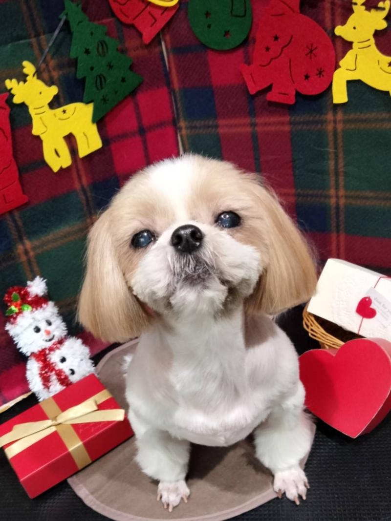 ジュアペットクリニックのアルバイト・バイト求人情報-03