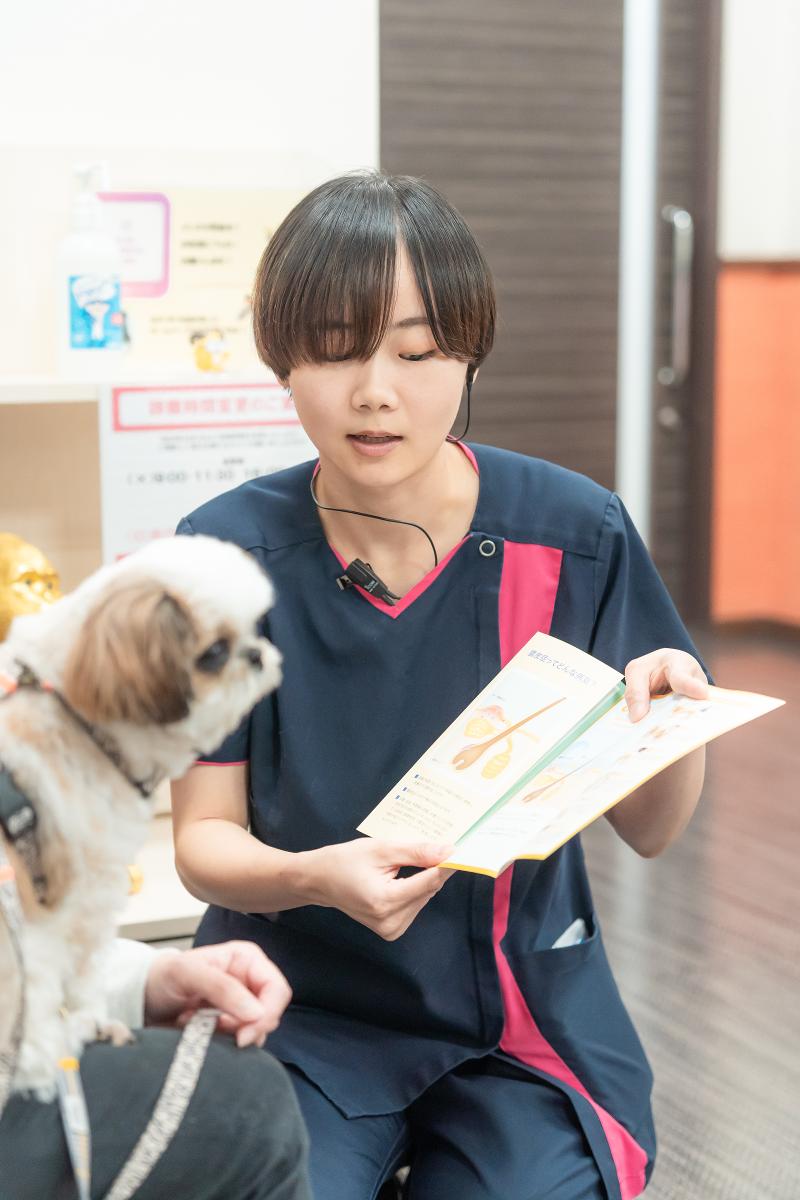 オリバ犬猫病院のアルバイト・バイト求人情報-04
