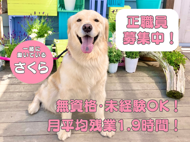 社会福祉法人博光福祉会の求人・転職情報