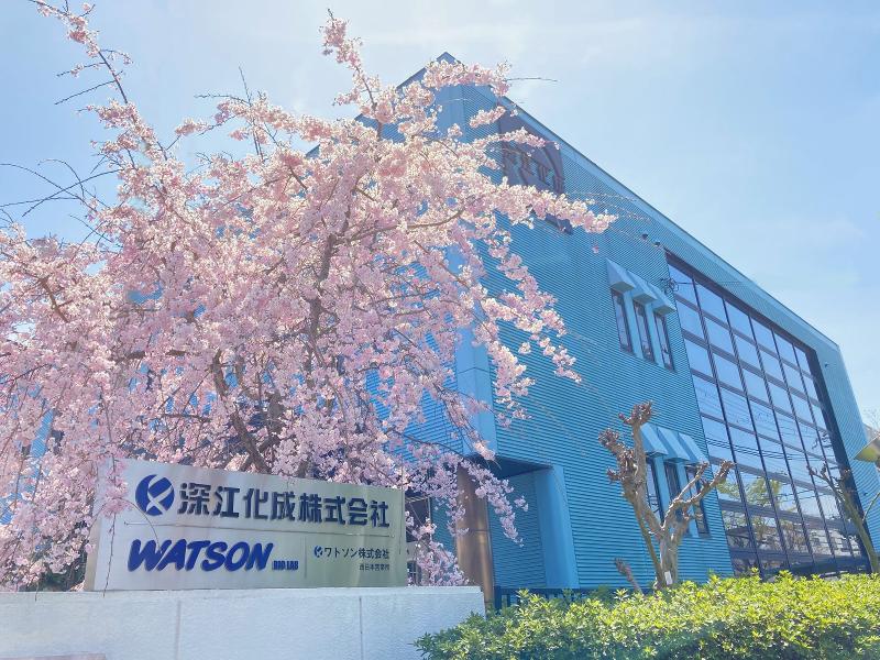 ワトソン株式会社の求人・転職情報