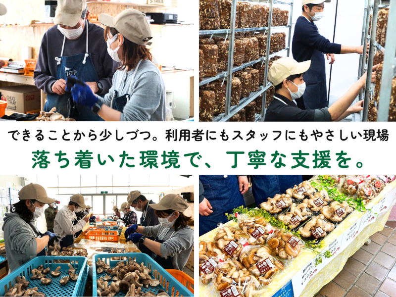 大心株式会社の求人・転職情報