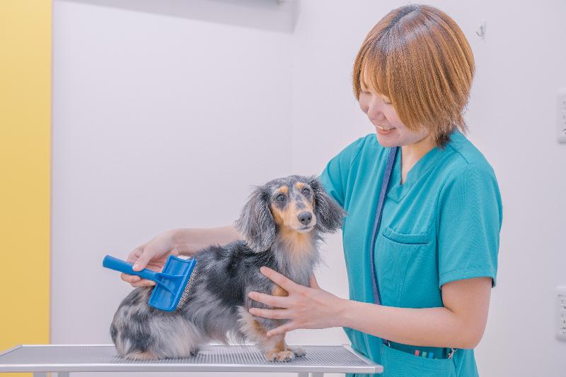 ひとみ動物病院のアルバイト・バイト求人情報-05