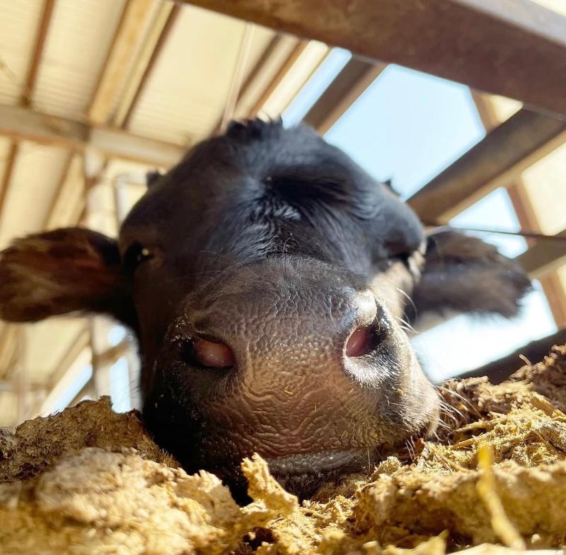 有限会社月尾企画の求人・転職情報