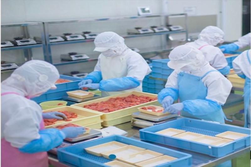 株式会社沖縄丸一食品の求人・転職情報