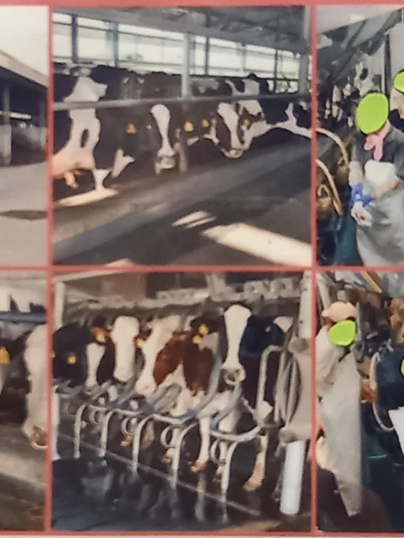 頂牧場の求人・転職情報