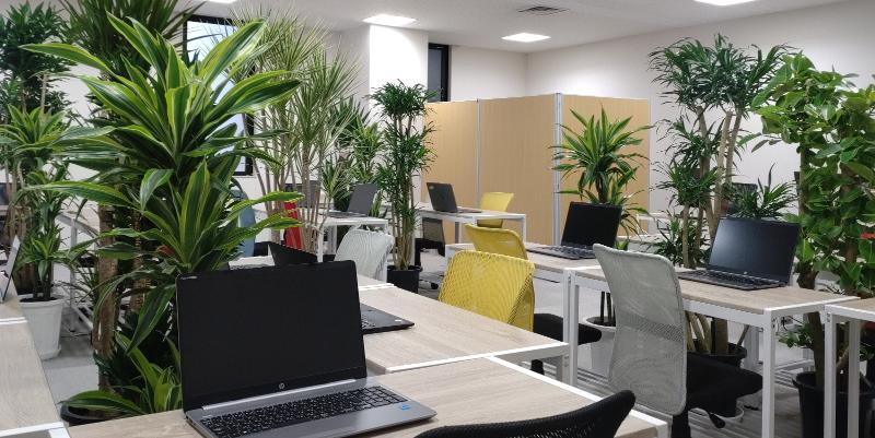 株式会社デクノヒューマンキャピタルラボの求人・転職情報