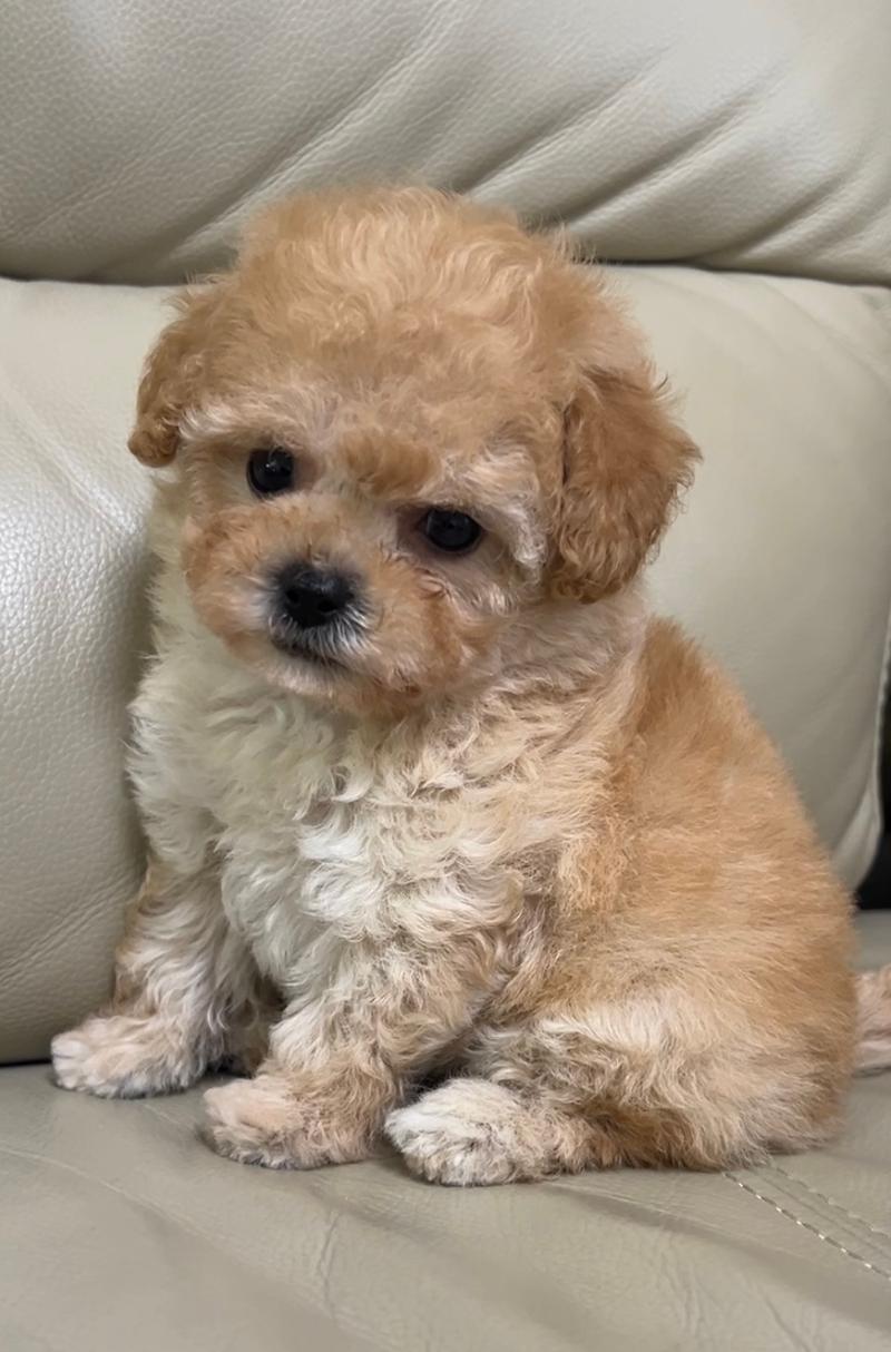 ペットプラザ泉大津店のアルバイト・バイト求人情報-03