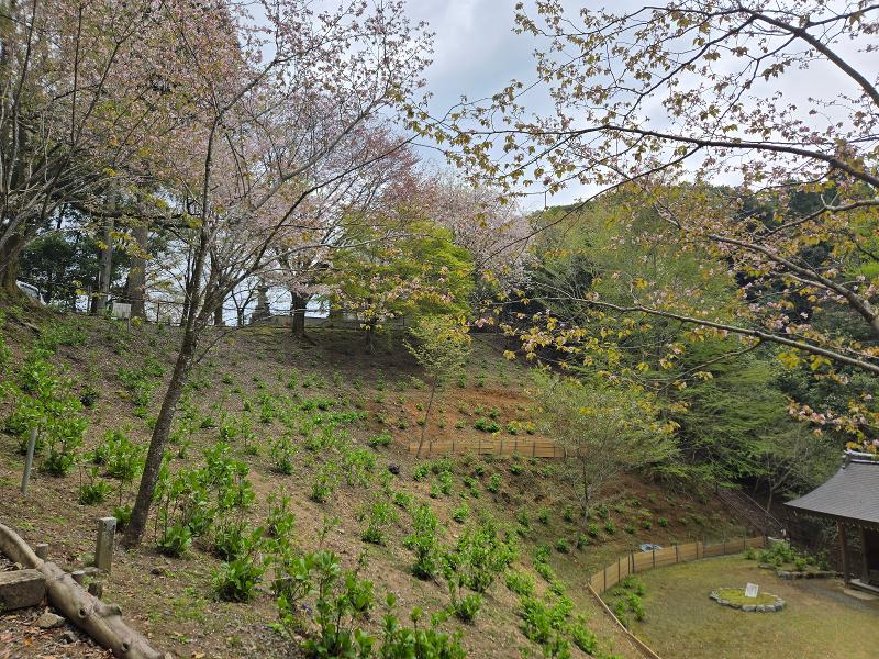 (株)造園一のアルバイト・バイト求人情報-04