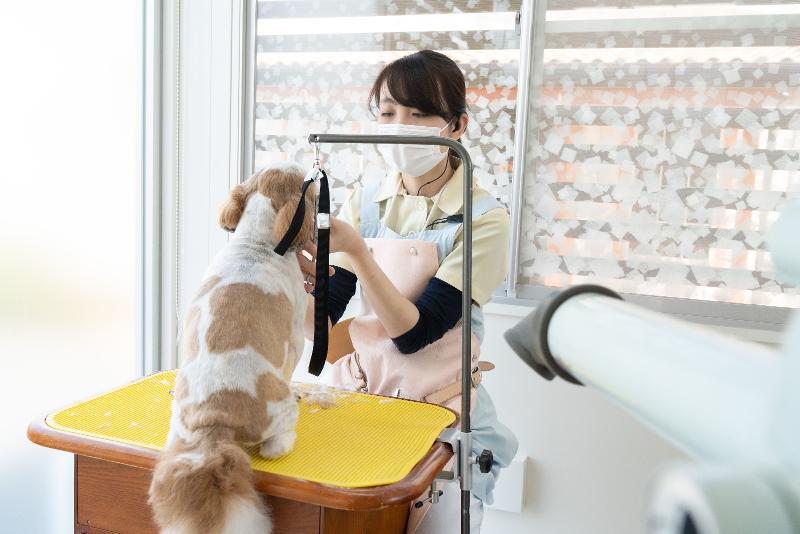 AMAペットライフケア株式会社　あま動物病院の求人・転職情報