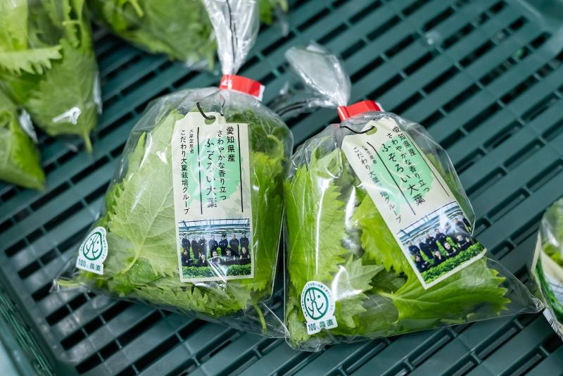 (株)シンメーのアルバイト・バイト求人情報-03