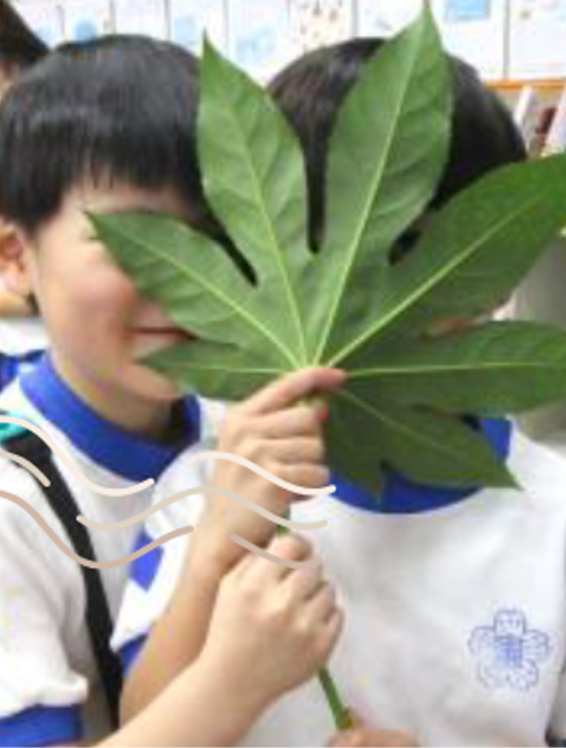 台東区立金曽木小学校のアルバイト・バイト求人情報-03