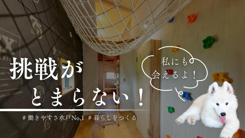 株式会社ハースの求人・転職情報
