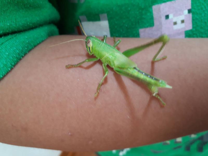 ウェイク沖縄合同会社のアルバイト・バイト求人情報-02