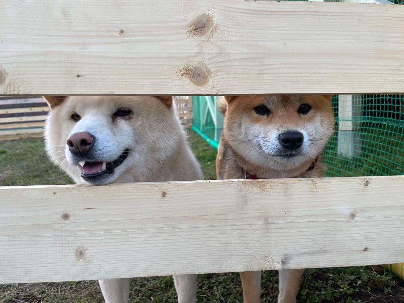 株式会社キッズ・コムのアルバイト・バイト求人情報-02