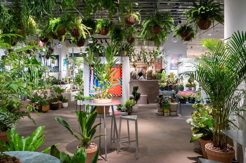 (株)IRODORIMIDORIの求人・転職情報