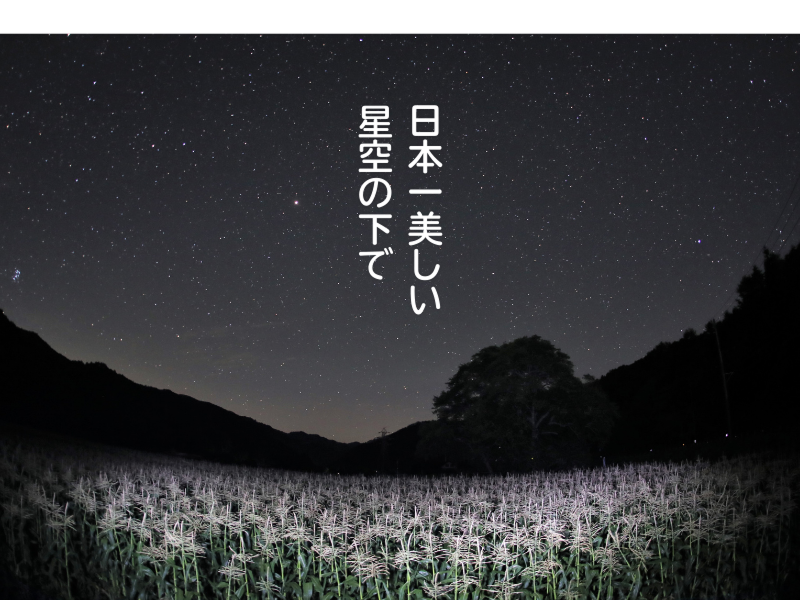NPO法人なみあい育遊会のアルバイト・バイト求人情報-05