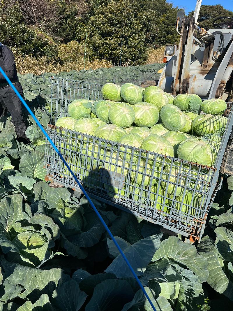 有限会社 光部牧場のアルバイト・バイト求人情報-02