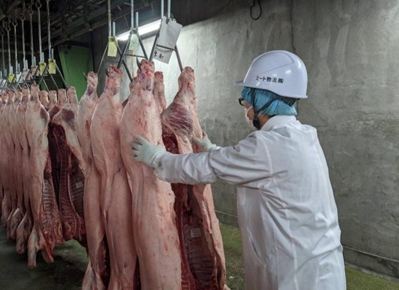 ミート物流株式会社の求人・転職情報