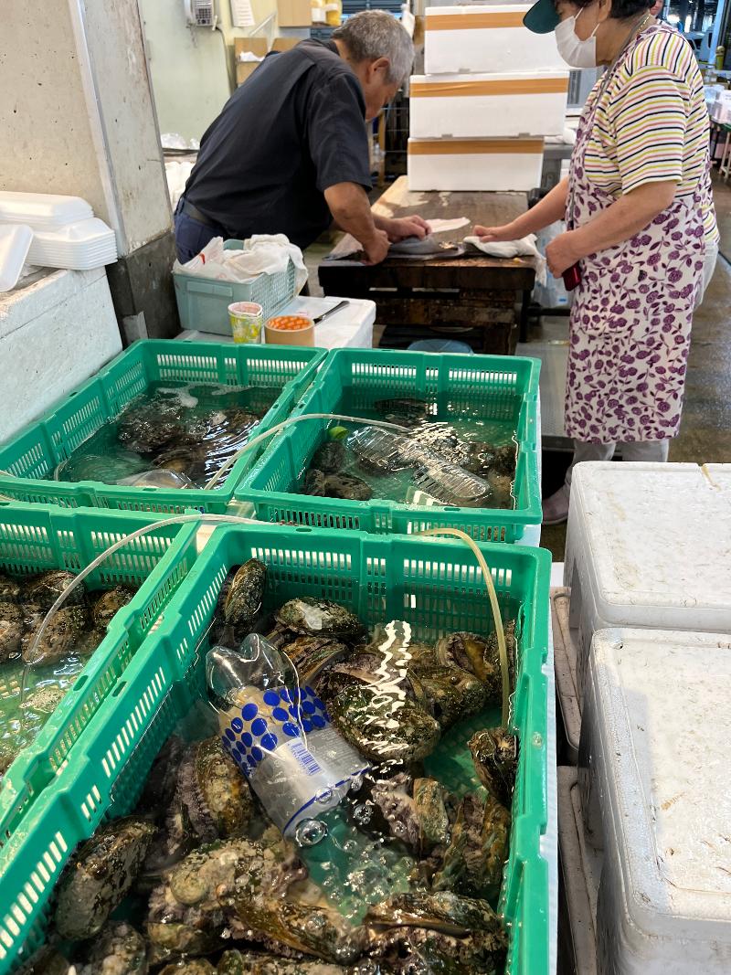 株式会社 丸昭本間水産のアルバイト・バイト求人情報-04