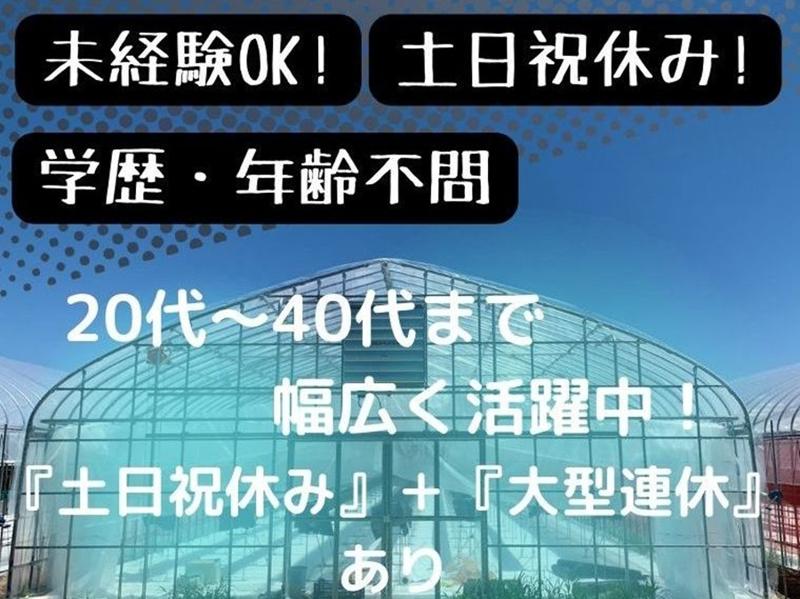 株式会社渡邉総業の求人・転職情報