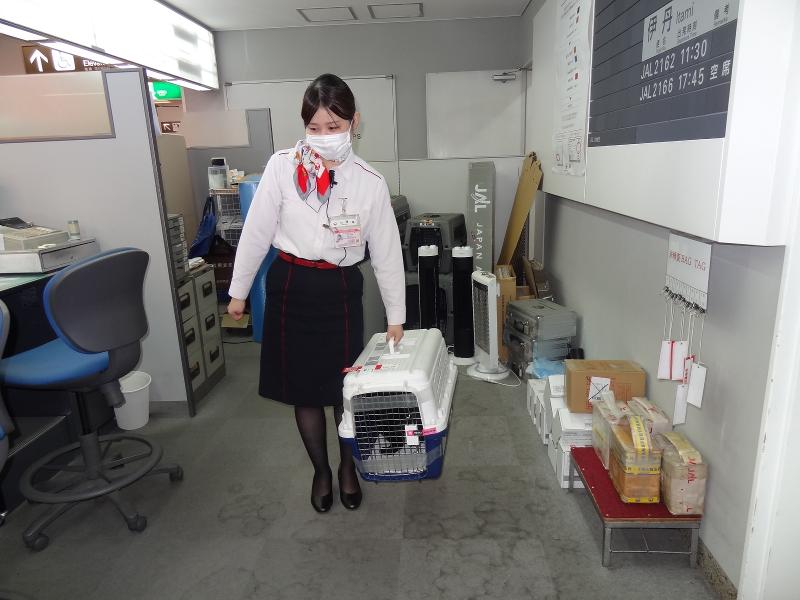 三八五観光株式会社の求人情報