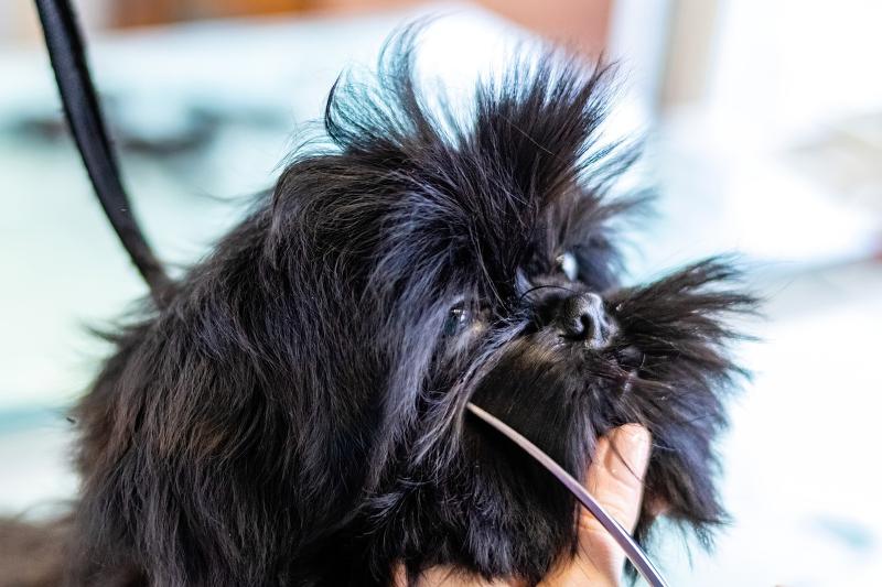 株式会社ワンライフのアルバイト・バイト求人情報-05