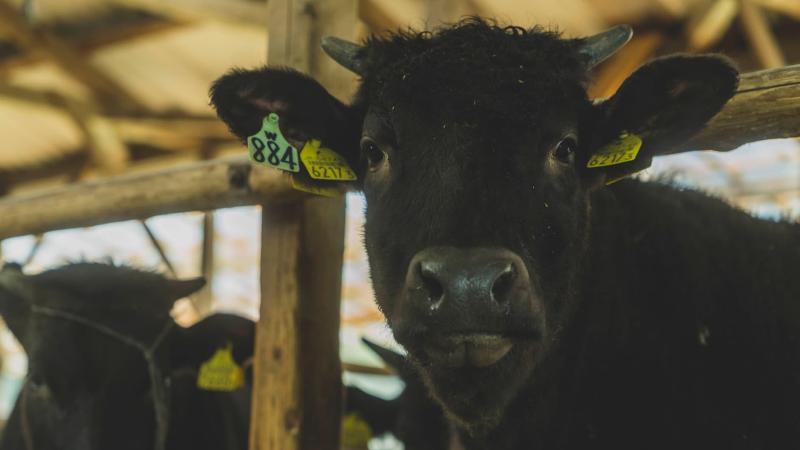 西麻布の求人・転職情報