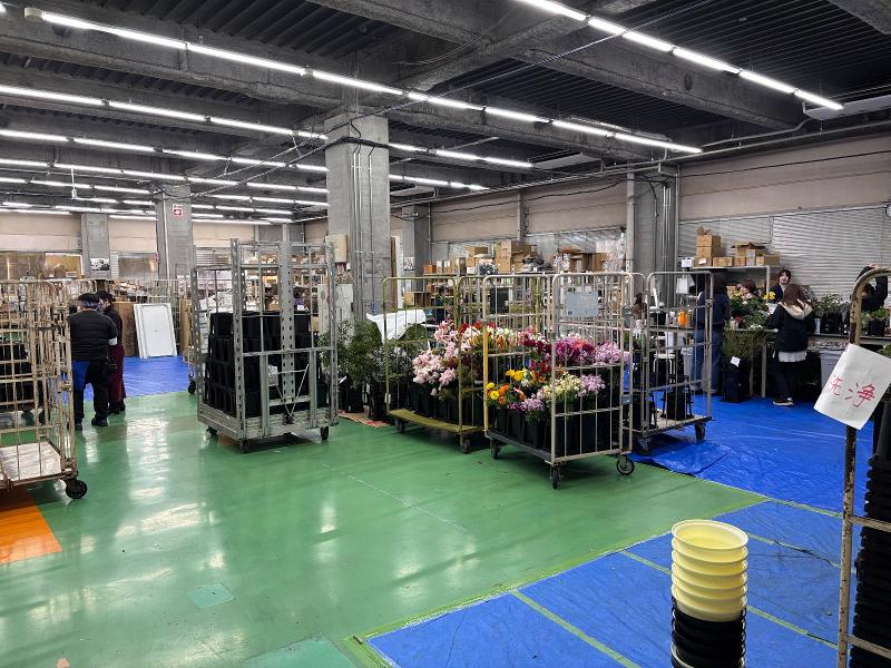 AND PLANTS(株式会社Domuz)の求人情報