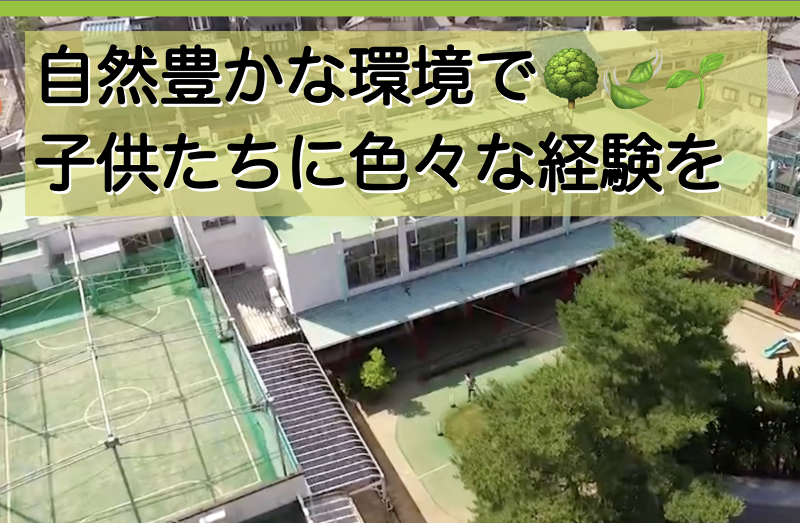 神宮学院 認定こども園 寺尾幼稚園のイメージ2
