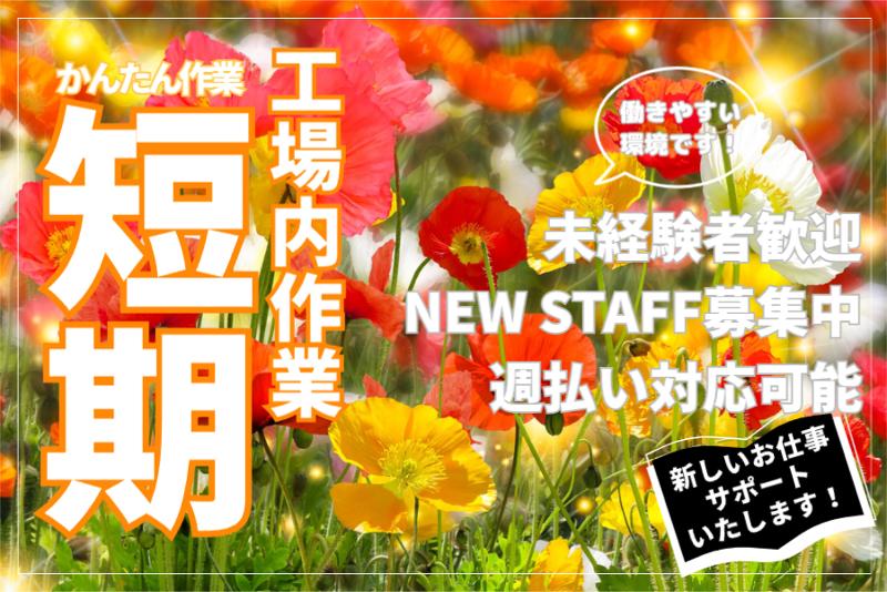株式会社ライブエンタープライズ