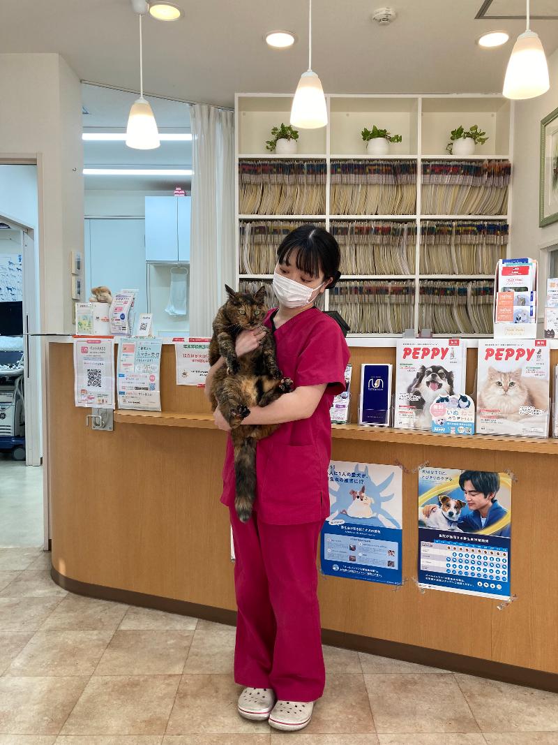 おたき動物病院のアルバイト・バイト求人情報-02