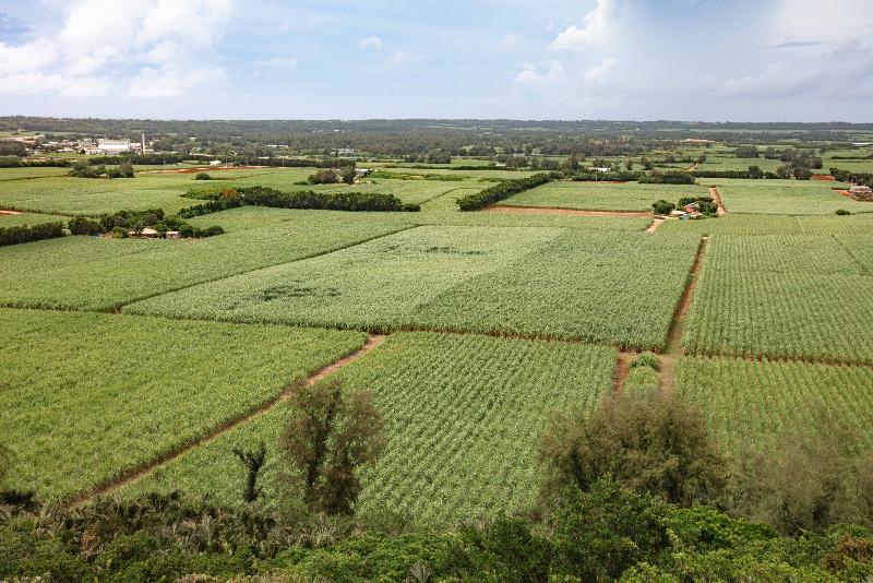 YUIME株式会社の派遣求人情報