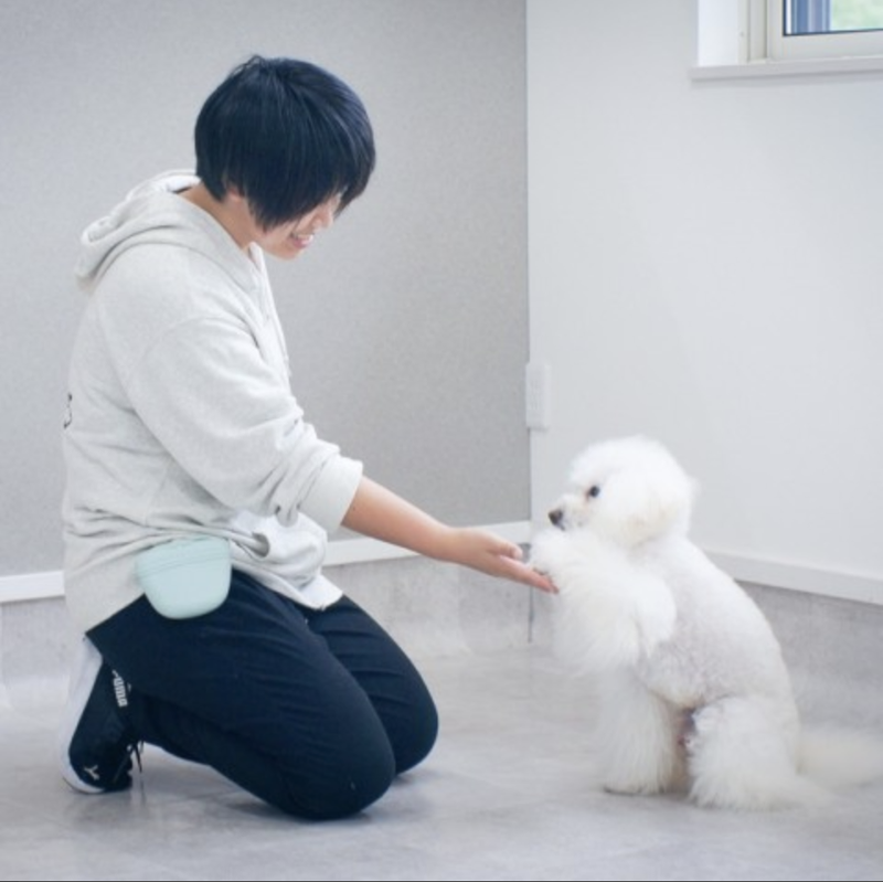 PawPark 徳島万代店のアルバイト・バイト求人情報-03