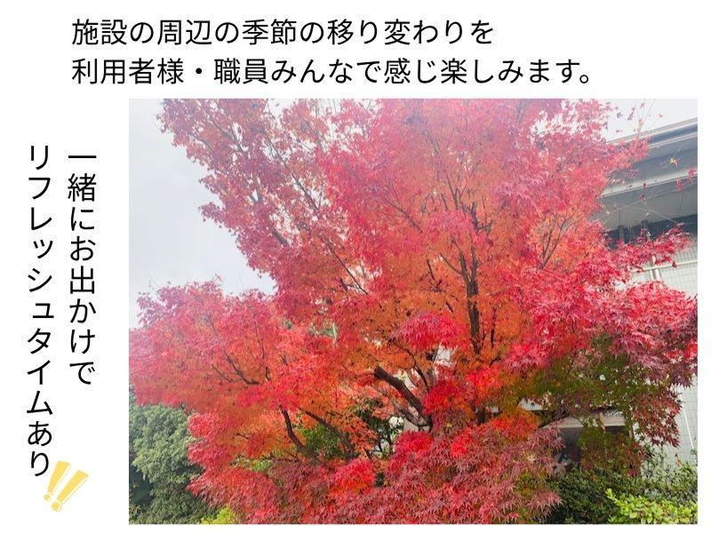 社会福祉法人いしづち会の求人・転職情報