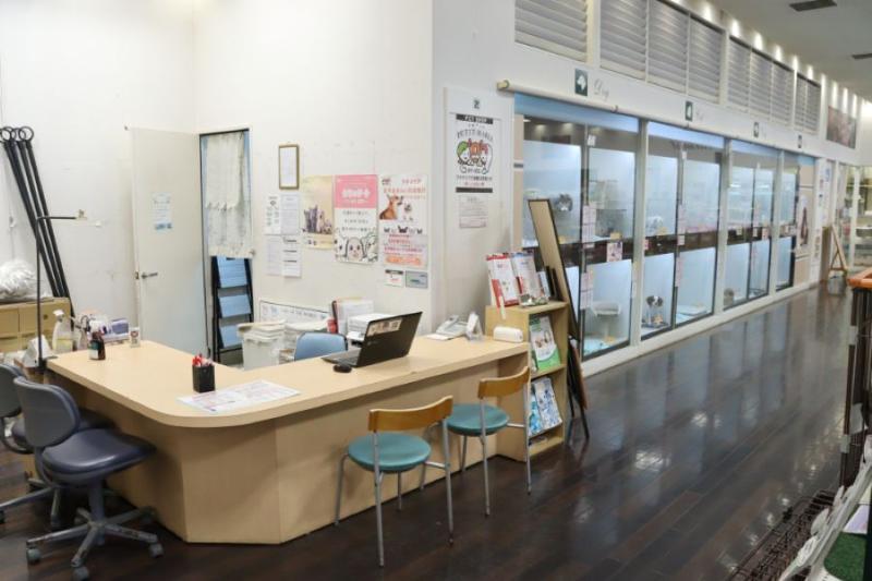 B-WEST 入間武蔵藤沢店(スリーゼロ株式会社 )のアルバイト・バイト求人情報-03