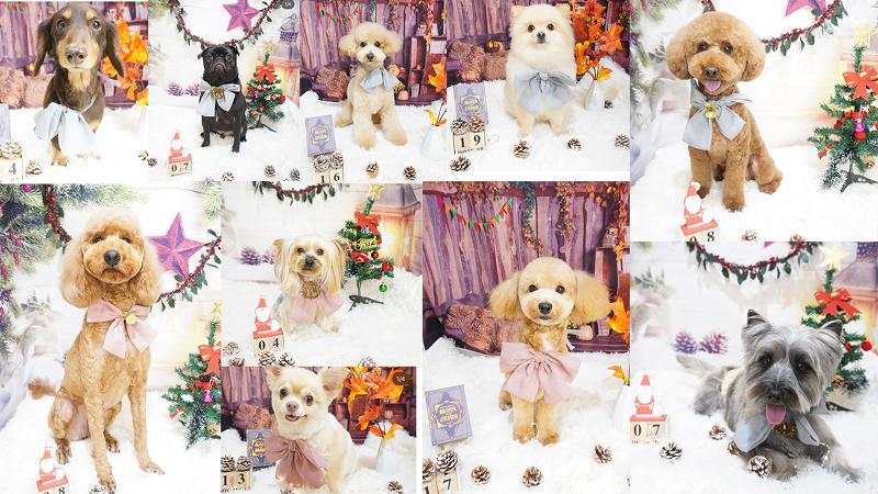 株式会社CLUTCHのアルバイト・バイト求人情報-02