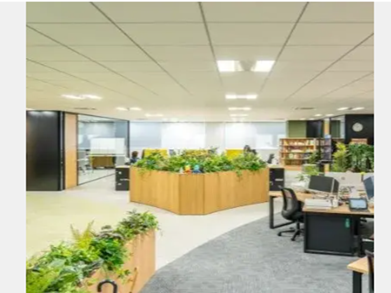 ナガイホールディングス株式会社の求人情報