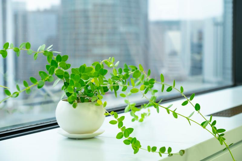 サーバーフリー株式会社のアルバイト・バイト求人情報-03