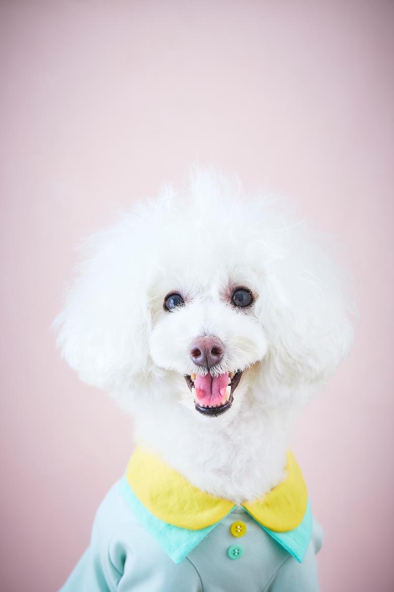 株式会社stanpooの求人・転職情報