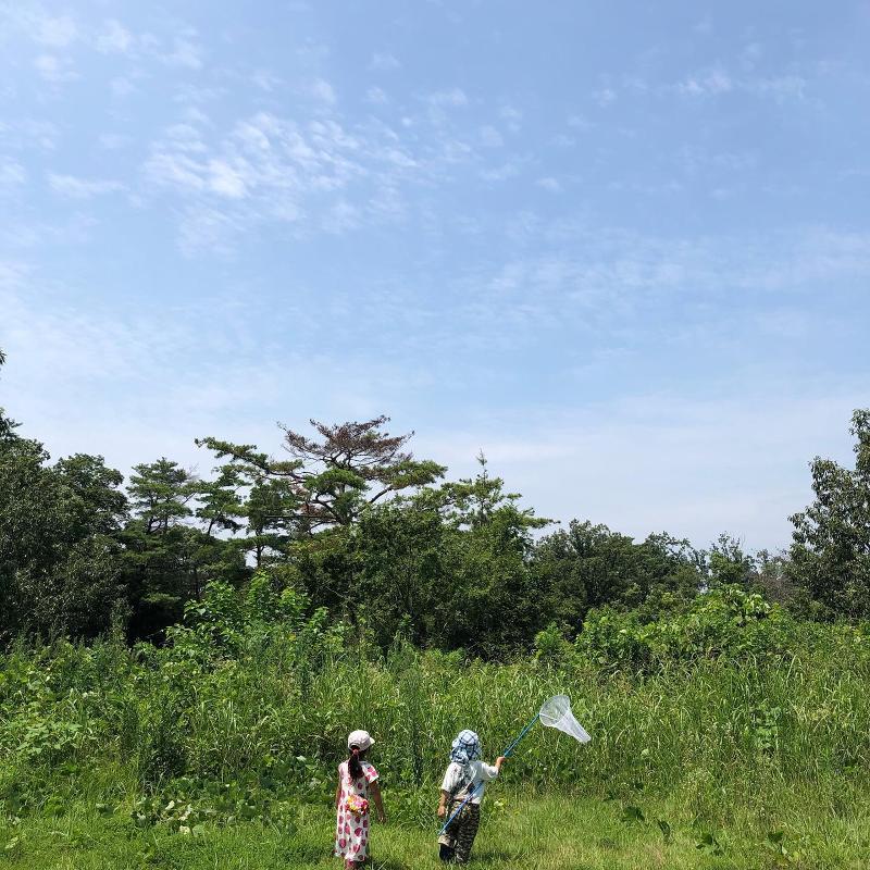 特定非営利活動法人はぐくみ