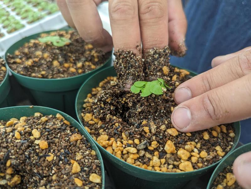 医療法人社団 亮正会のアルバイト・バイト求人情報-02