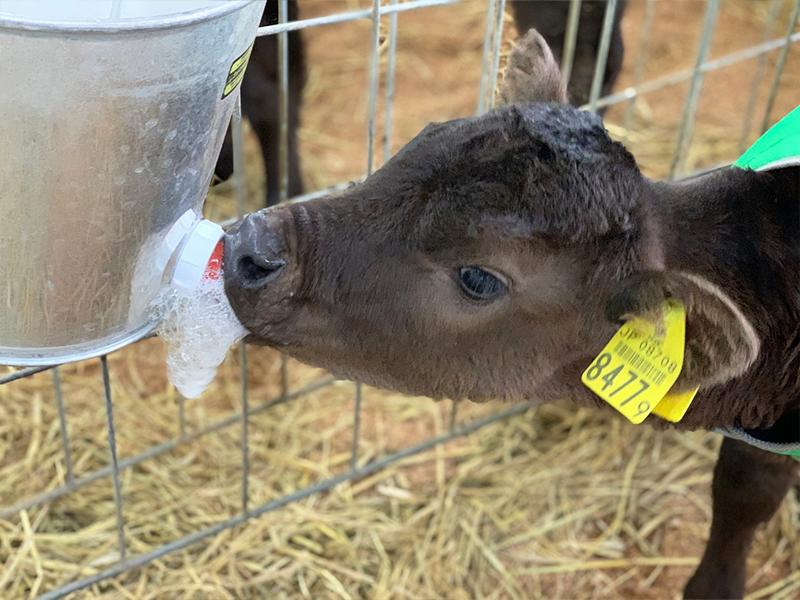 有限会社山口畜産の求人・転職情報