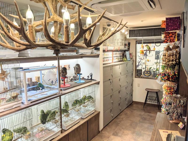 株式会社鳥カフェ　鳥のいるカフェ千駄木店のアルバイト・バイト求人情報-02