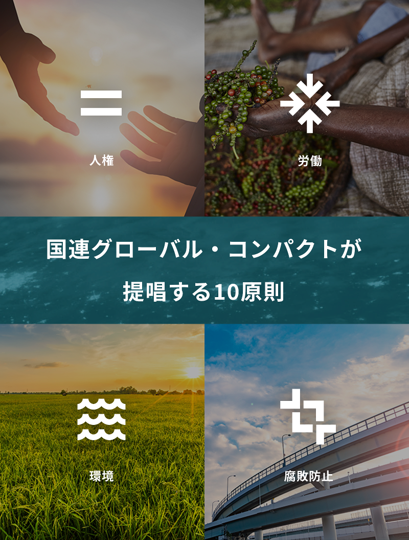 一般社団法人グローバル・コンパクト・ネットワーク・ジャパンの求人・転職情報