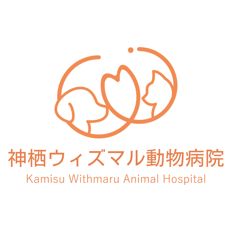 株式会社Withmalの求人・転職情報
