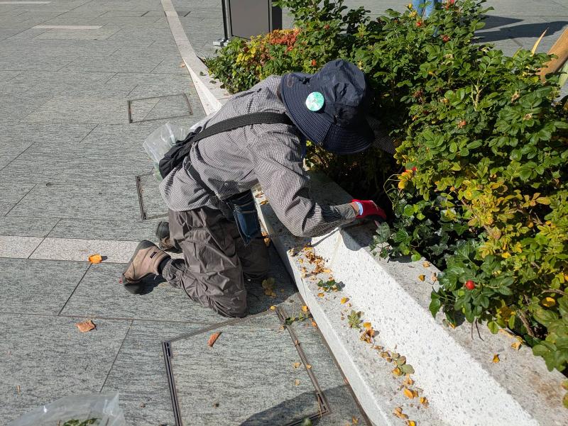 株式会社ユニバーサル園芸社のアルバイト・バイト求人情報-02