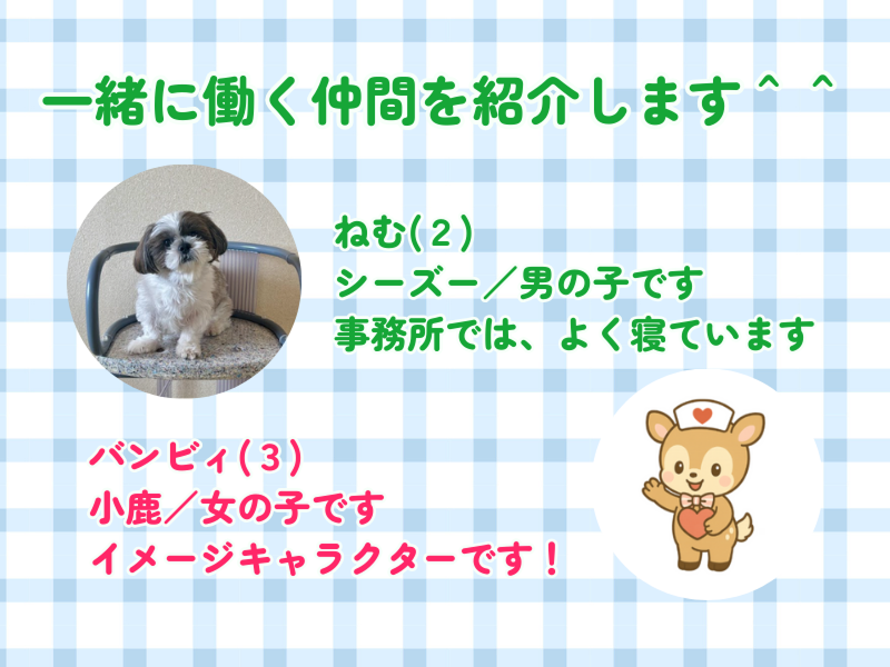 シナプスリンク株式会社の求人・転職情報-05