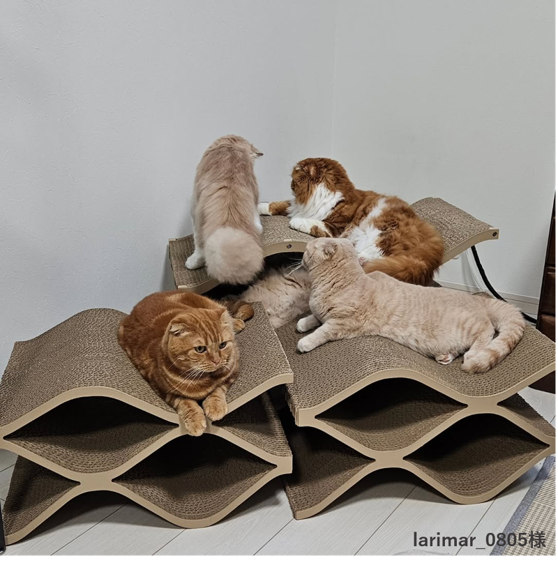 株式会社カミカグのアルバイト・バイト求人情報-03