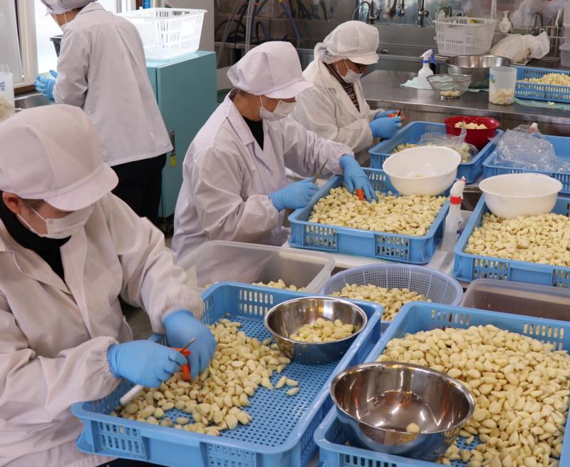 株式会社WANDのアルバイト・バイト求人情報-04