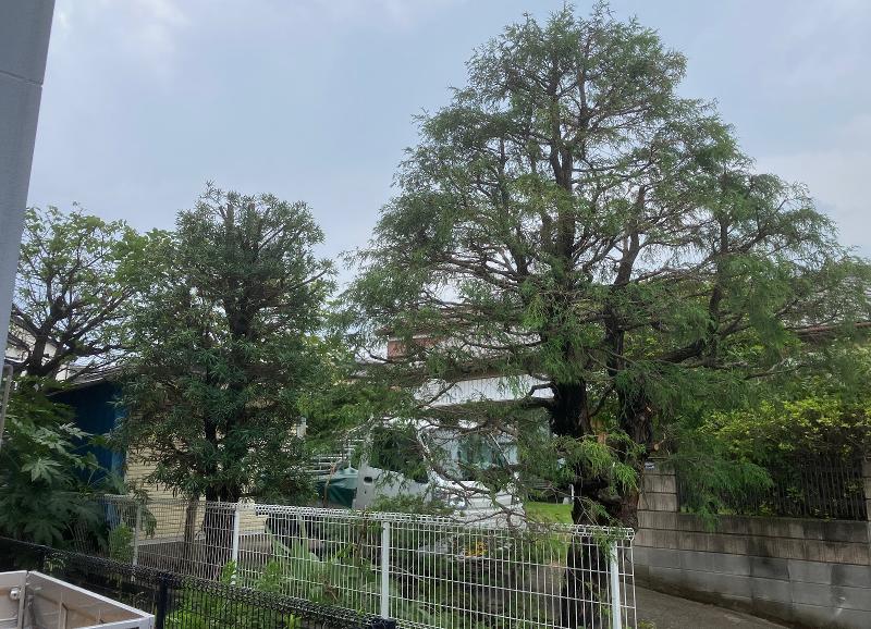 平林造園の求人・転職情報